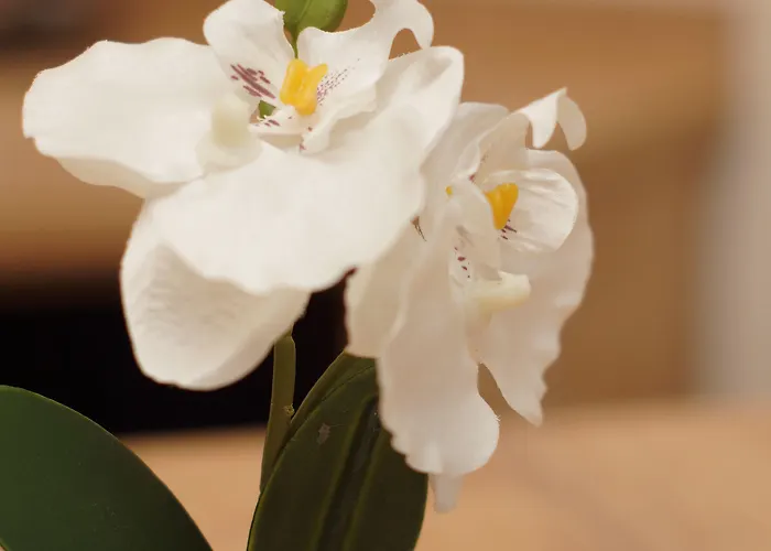 Hotel Der Marienhof Garni