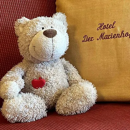 Der Marienhof Garni Hotel Graz